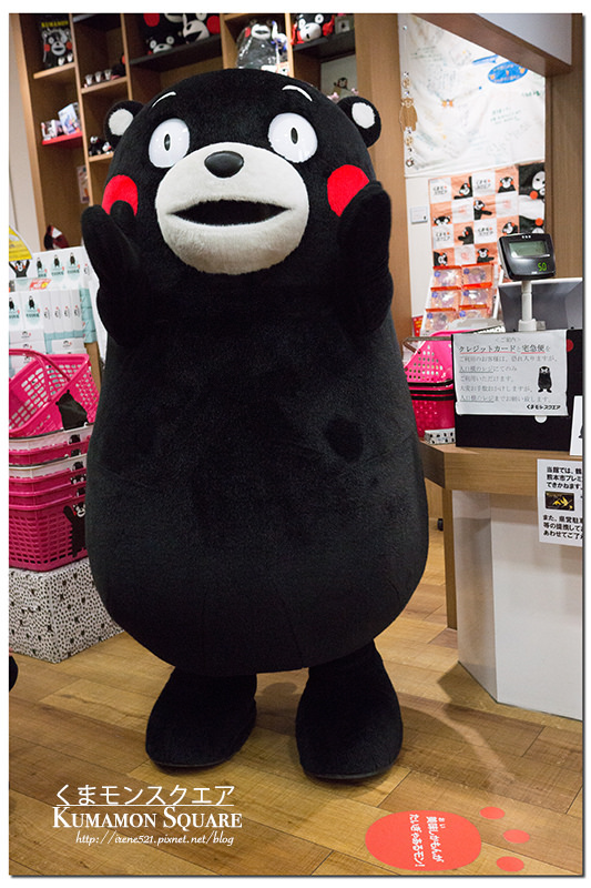 【九州熊本】熊本必訪熊本熊/參觀部長辦公室/KUMAMON CAFÉ．Kumamon Square(酷MA萌廣場)