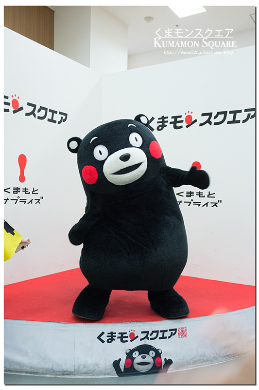 【九州熊本】熊本必訪熊本熊/參觀部長辦公室/KUMAMON CAFÉ．Kumamon Square(酷MA萌廣場)