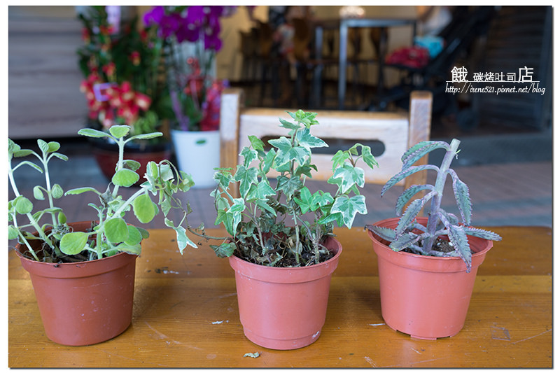 【三重】立體拉花看膩了嗎，來看熊泡澡咖啡好療癒．餓店碳烤吐司