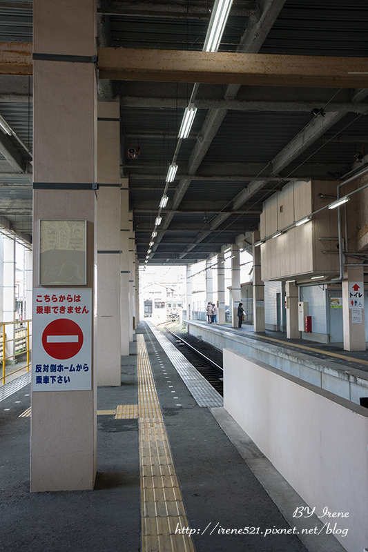 【九州熊本】不定時出現的神秘KUMAMON電車