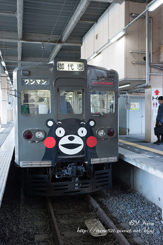 【九州熊本】不定時出現的神秘KUMAMON電車