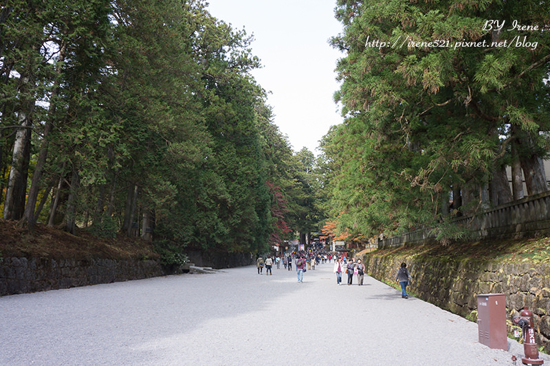 【日光】世界遺產巡禮II，最華麗的神社．東照宮