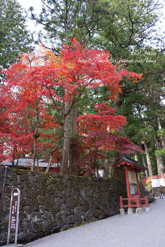 【日光】世界遺產巡禮II，最華麗的神社．東照宮