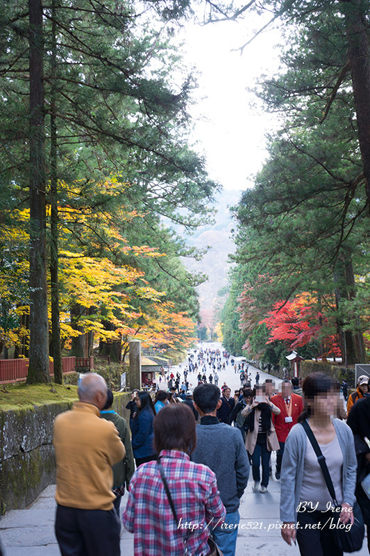 【日光】世界遺產巡禮II，最華麗的神社．東照宮