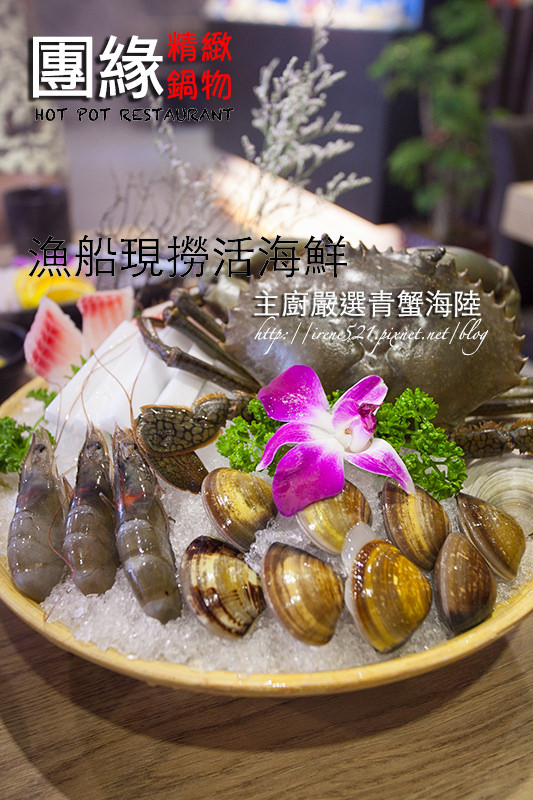 【台北內湖區】活海鮮供應，新鮮的好品質．團緣精緻鍋物 @Irene&#039;s 食旅．時旅