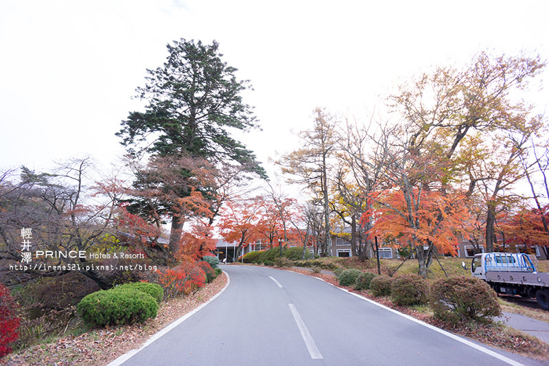 【輕井澤】楓紅片片，散步於楓葉小道中．輕井澤王子大飯店