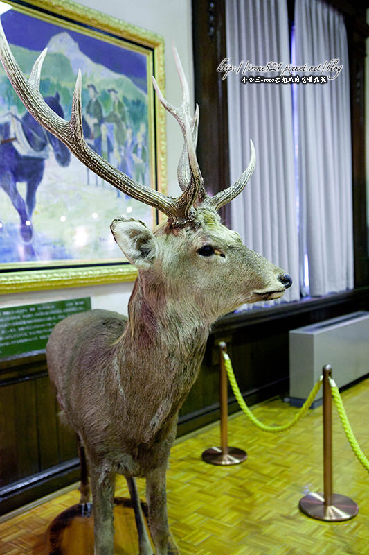 【北海道札幌】日本重要文化財產．北海道廳舊本廳舍(北海道庁旧本庁舎)