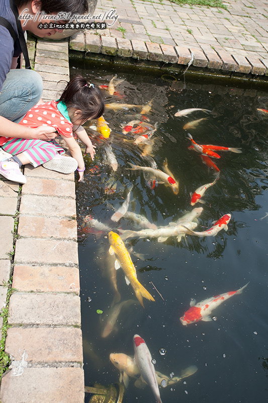 摩爾花園