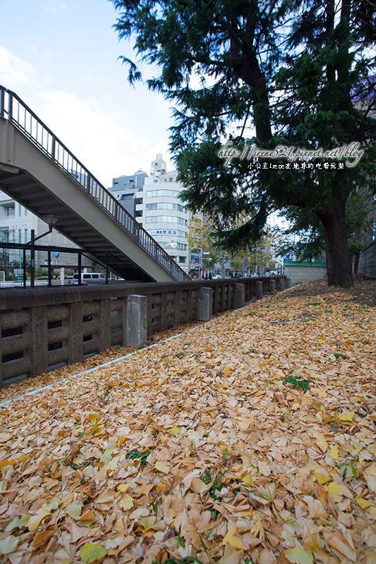 築地市場