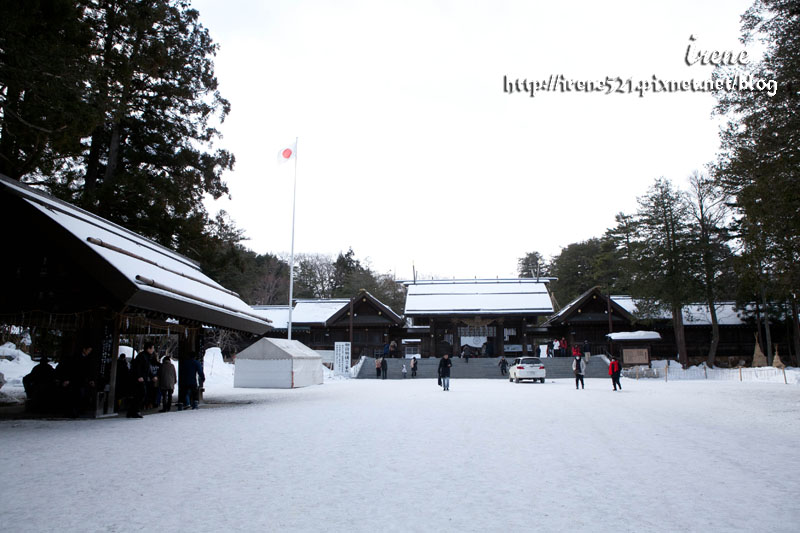 【北海道札幌】日本新年的神宮 分外的熱鬧．北海道神宮 @Irene&#039;s 食旅．時旅