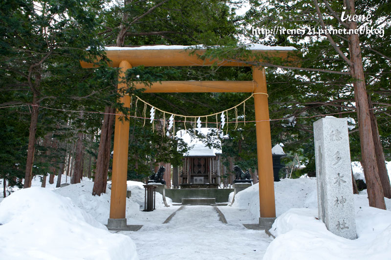 北海道神宮