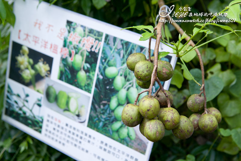 豐山生態園區