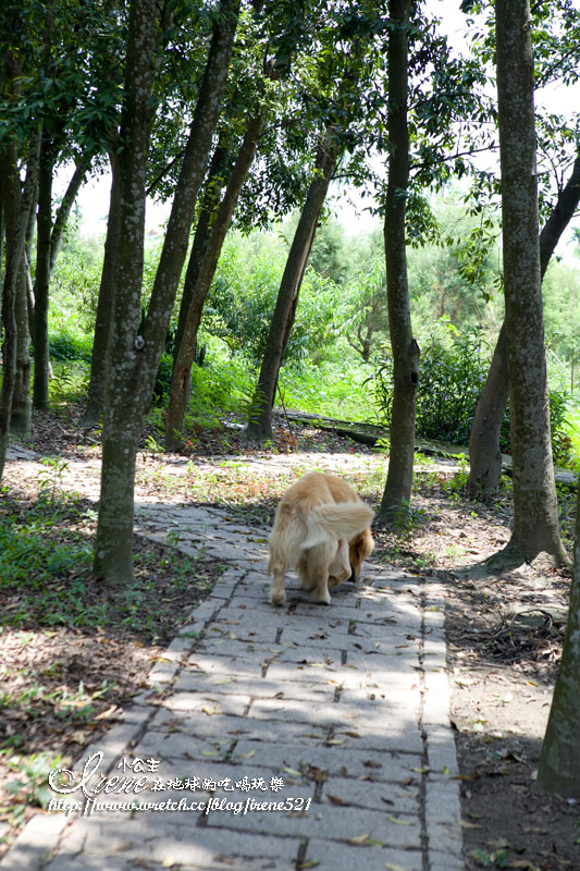 波尼塔香草花園