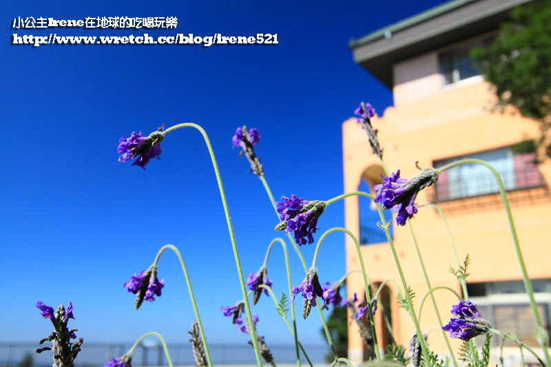 雲洞山莊