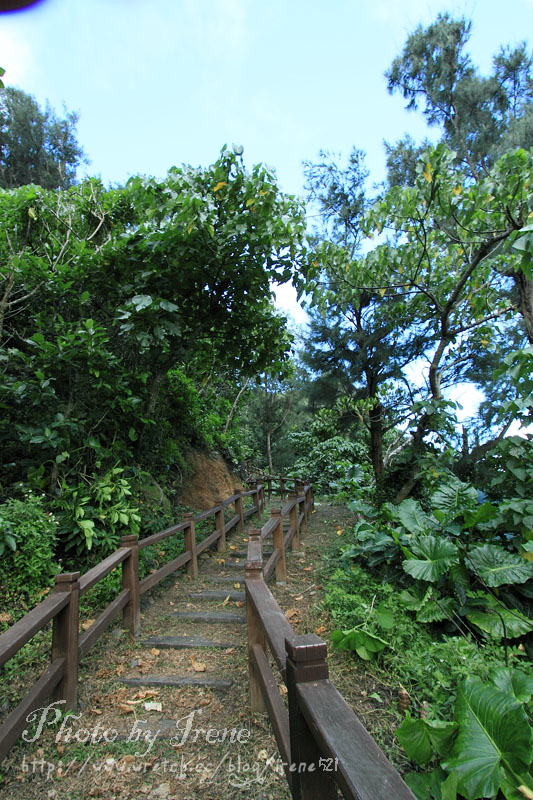 蘭嶼-情人洞旁步道