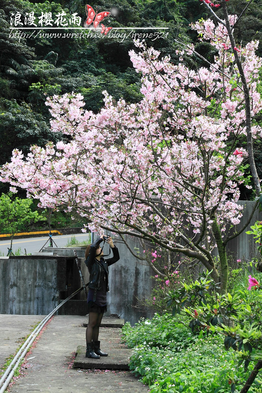 烘爐地