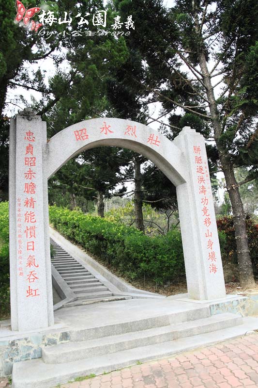 【嘉義梅山】與梅花的近距離接觸．梅山公園