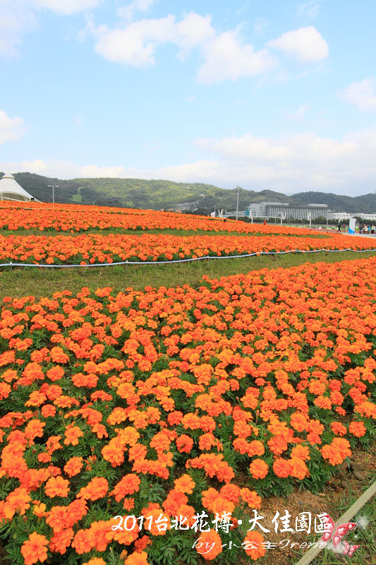 【2011花博】台北花博．大佳河濱公園區