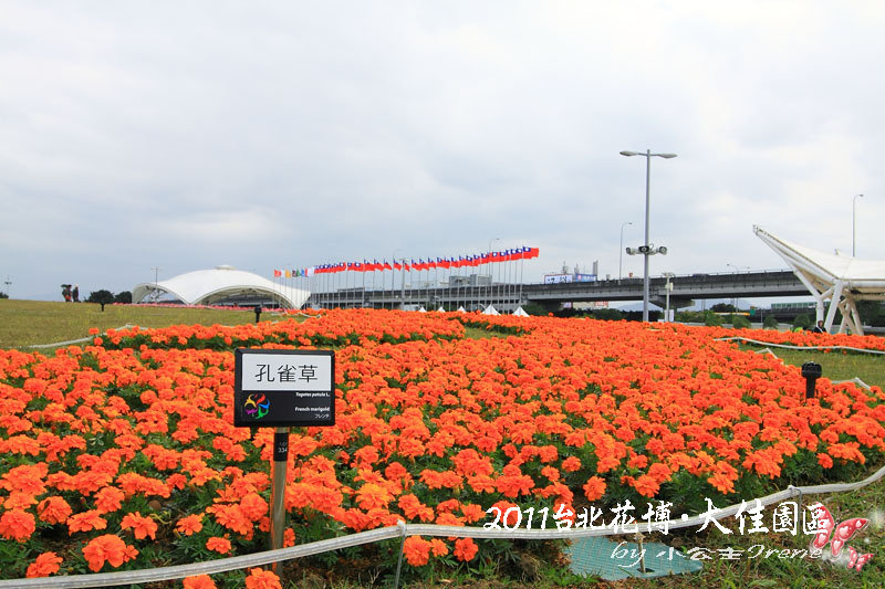 【2011花博】台北花博．大佳河濱公園區