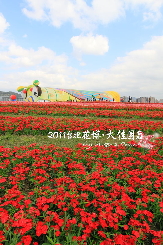 【2011花博】台北花博．大佳河濱公園區