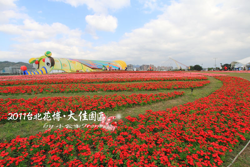 【2011花博】台北花博．大佳河濱公園區