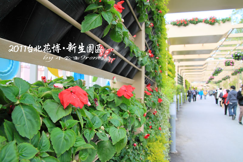 【2011花博】台北花博．新生公園區(花茶殿)