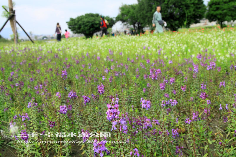 【三重】北縣的大公園‧幸福水漾公園