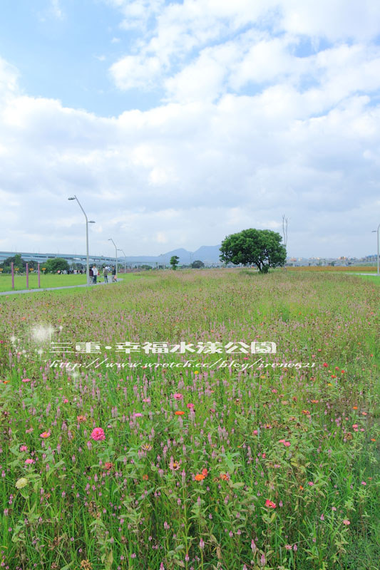 【三重】北縣的大公園‧幸福水漾公園