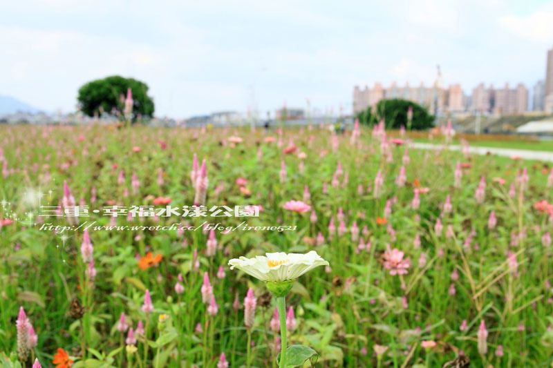 【三重】北縣的大公園‧幸福水漾公園