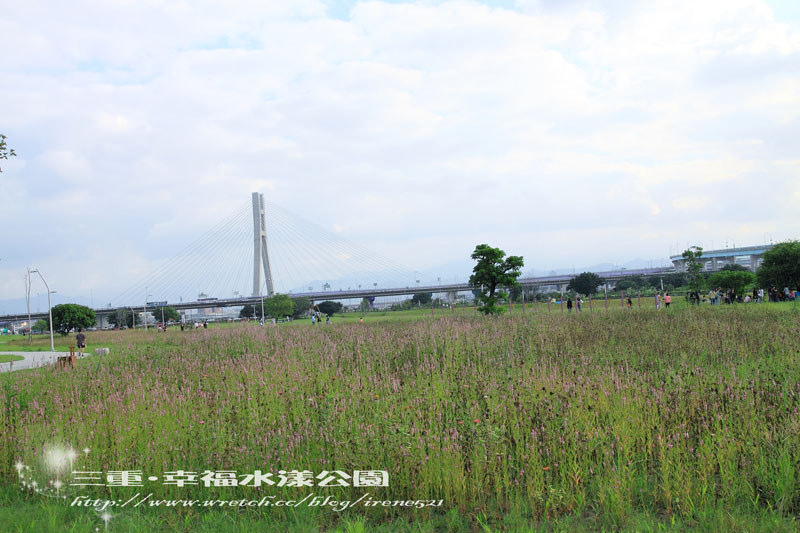 【三重】北縣的大公園‧幸福水漾公園