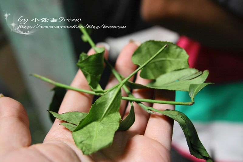 【桃園龍潭鄉】透視茶葉文化．福源茶廠