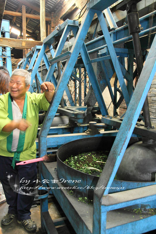 【桃園龍潭鄉】透視茶葉文化．福源茶廠