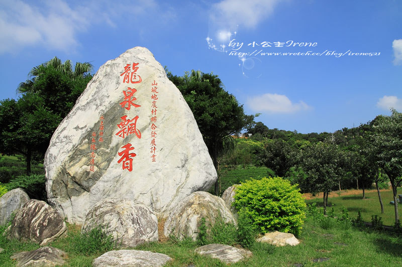 【桃園龍潭鄉】北茶之旅三水茗園‧與茶葉的近距離接觸