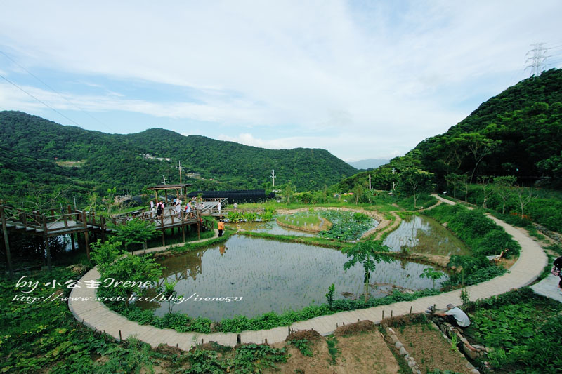 【內湖】同心池‧白石湖吊橋