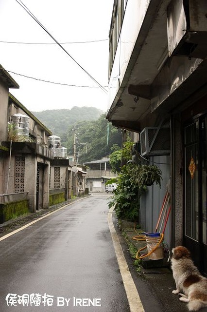 【台北】輕鬆出遊‧侯硐隨拍