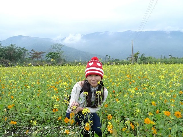 2010台東之旅－Day1‧舞鶴北迴歸線+台東花海