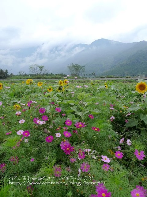 2010台東之旅－Day1‧舞鶴北迴歸線+台東花海