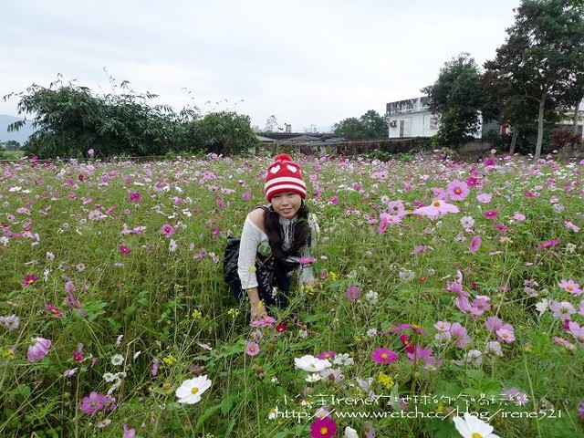 2010台東之旅－Day1‧舞鶴北迴歸線+台東花海