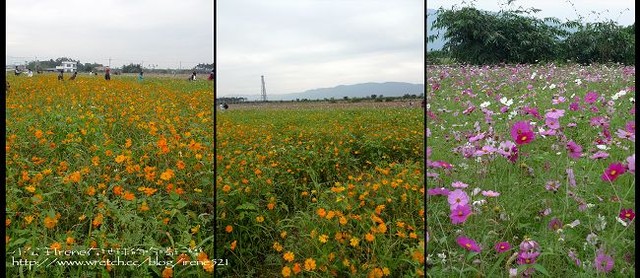 2010台東之旅－Day1‧舞鶴北迴歸線+台東花海