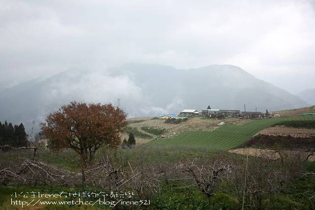 【台中】楓葉的故鄉‧福壽山農場