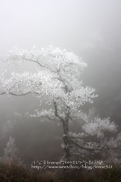 台中－凄冷的白色世界‧南湖大山登山口