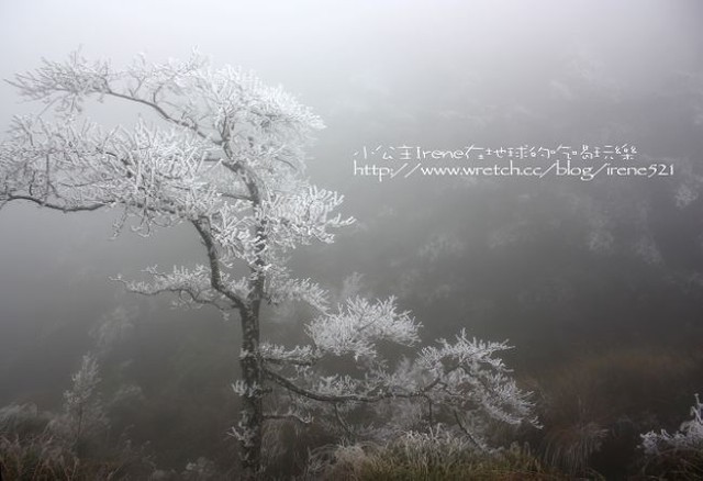 台中－凄冷的白色世界‧南湖大山登山口