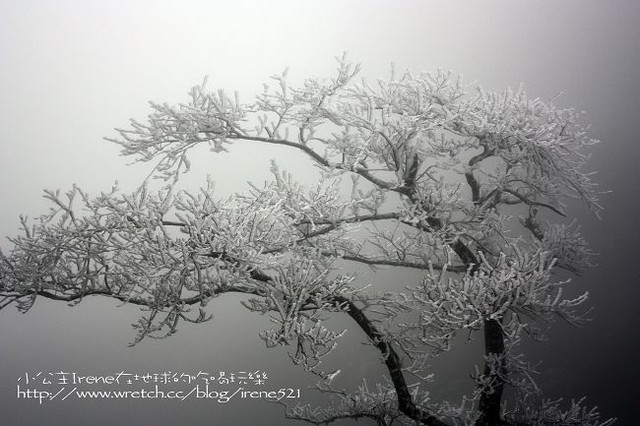 台中－凄冷的白色世界‧南湖大山登山口