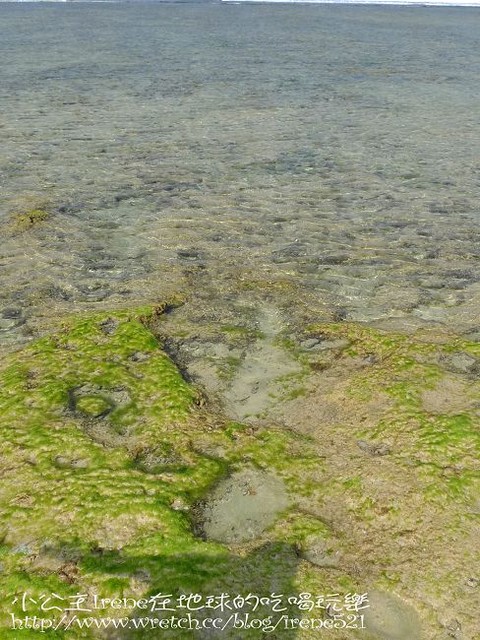 【小琉球】熱鬧的海底世界‧多仔坪潮間帶