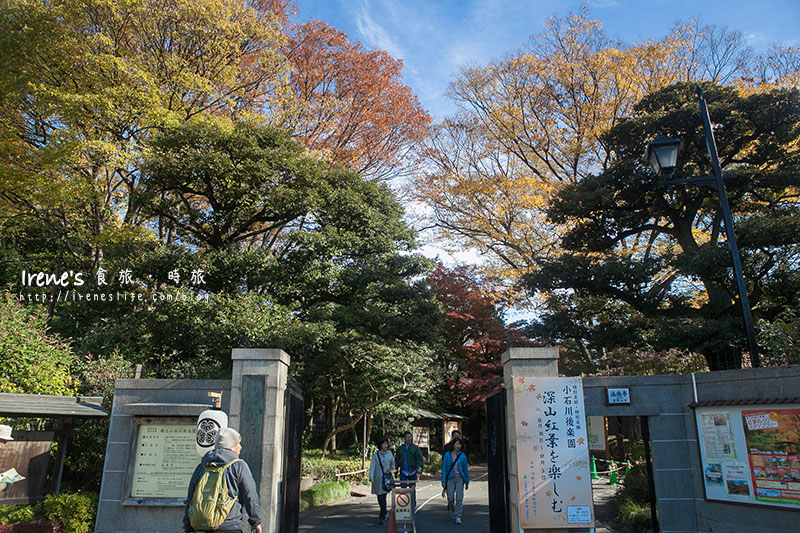 小石川後樂園