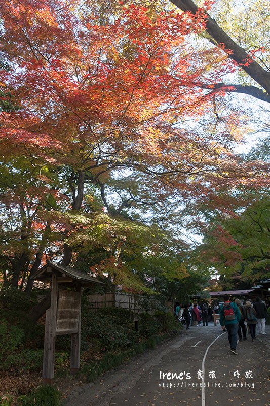 小石川後樂園