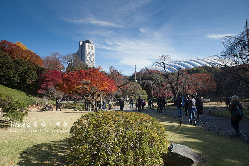 小石川後樂園