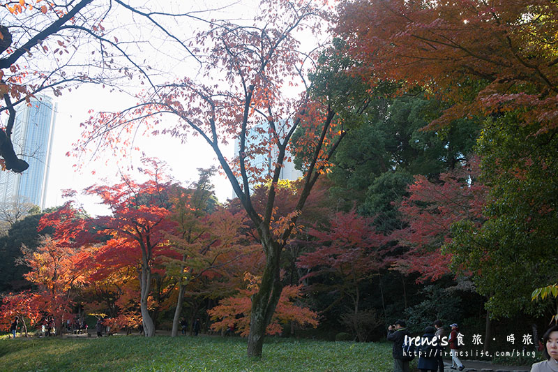 小石川後樂園