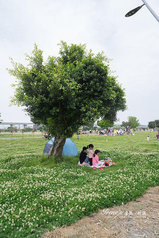 大臺北都會公園