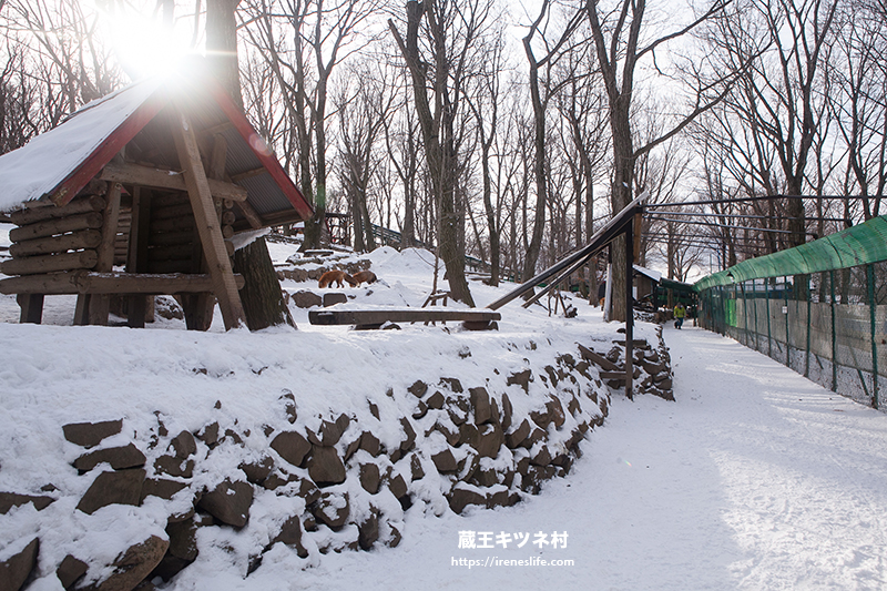 蔵王キツネ村(狐狸村)